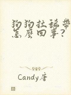 狗狗拉稀带血是怎么回事?