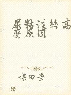 尿粘液丝高是什么原因