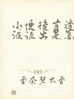 小便后有透明粘液流出是怎么回事