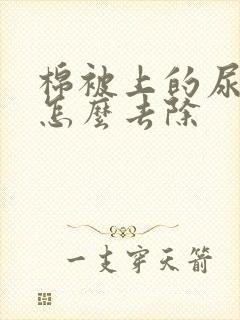 棉被上的尿骚味怎么去除