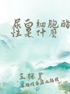 尿白细胞酯酶阳性是什么