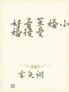 好看军婚小说先婚后爱