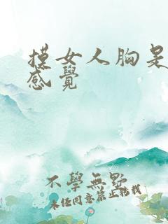 摸女人胸是什么感觉