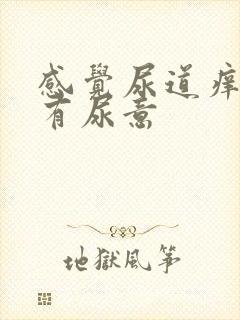 感觉尿道痒痒的有尿意