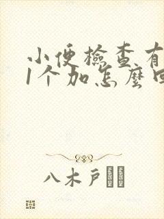 小便检查有隐血1个加怎么回事呢