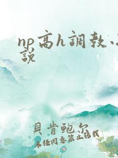 np高h调教小说
