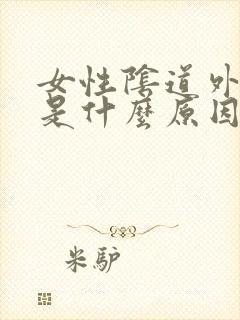 女性阴道外瘙痒是什么原因