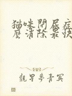 猫咪闭尿症状怎么消除最快