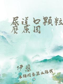 尿道口颗粒是什么原因