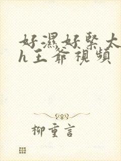 好湿好紧太爽了h王爷视频