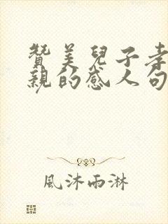 赞美儿子孝顺母亲的感人句子