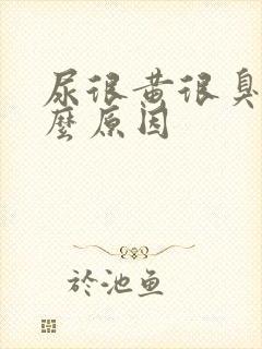 尿很黄很臭是什么原因