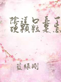 阴道口长了一个硬颗粒是怎么回事