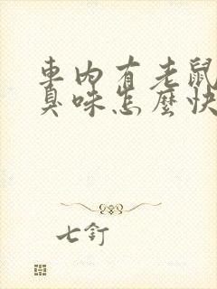 车内有老鼠尿味臭味怎么快速去除