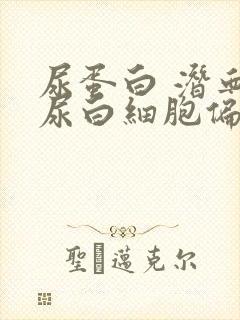 尿蛋白 潜血 尿白细胞偏高是什么原因