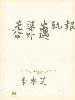 老婆出轨报复老公外遇