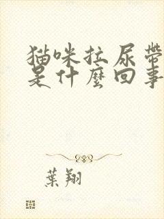 猫咪拉尿带点血是什么回事