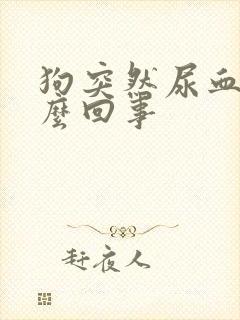 狗突然尿血是怎么回事