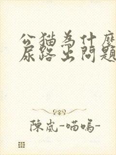 公猫为什么容易尿路出问题