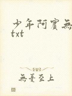 少年阿宾无删减txt