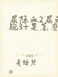 尿隐血2尿白细胞3+是怎么回事