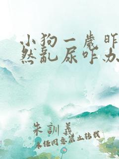 小狗一岁昨天突然乱尿咋办