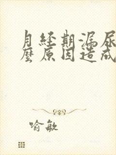 月经期漏尿是什么原因造成的