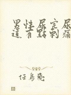 男性尿完尿后尿道有点刺痛还想尿