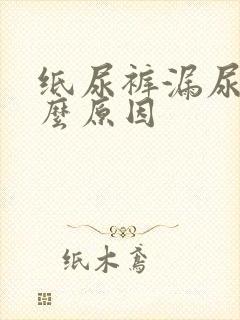 纸尿裤漏尿是什么原因