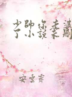 少帅你老婆又跑了小说未删版完整