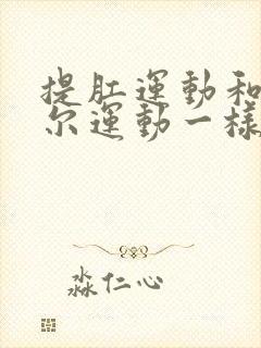 提肛运动和凯格尔运动一样吗