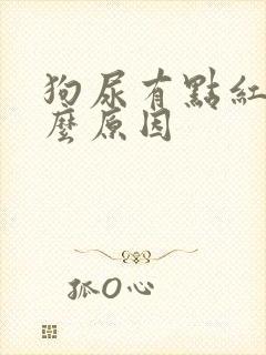 狗尿有点红是什么原因