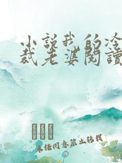 小说我的冷艳总裁老婆阅读