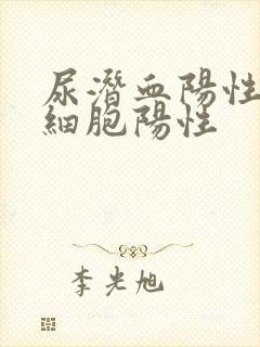 尿潜血阳性尿白细胞阳性