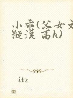 小乖(父女文 糙汉 高h)