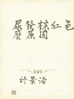 尿发棕红色是什么原因