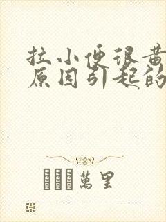 拉小便很黄什么原因引起的