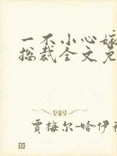 一不小心嫁了个总裁全文免费阅读