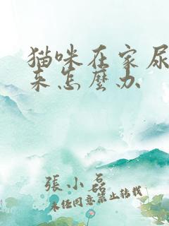 猫咪在家尿不出来怎么办