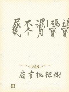 尿不湿l码适合几个月宝宝