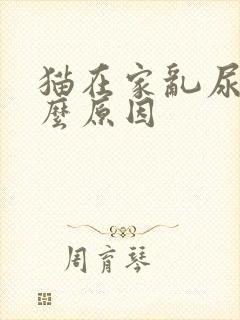 猫在家乱尿是什么原因