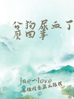 公狗尿血了是怎么回事