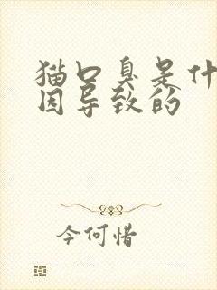 猫口臭是什么原因导致的