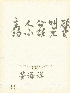 主人公叫顾北弦的小说免费阅读