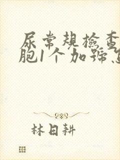 尿常规检查白细胞1个加号怎么回事