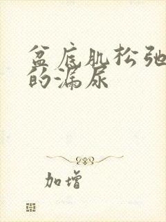 盆底肌松弛引起的漏尿