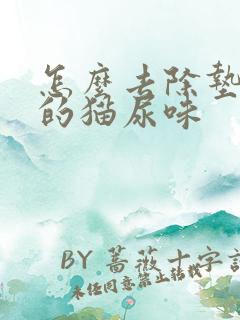 怎么去除垫子上的猫尿味