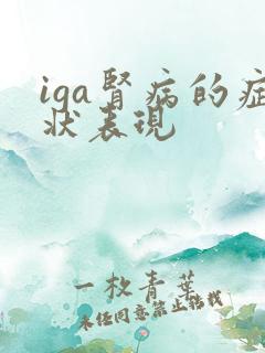 iga肾病的症状表现