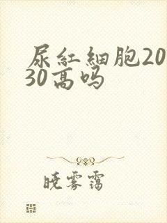 尿红细胞20~30高吗