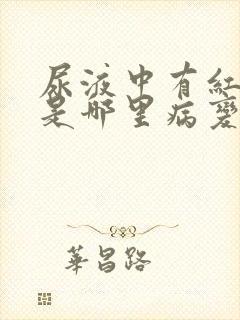 尿液中有红细胞是哪里病变